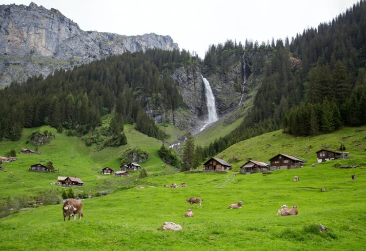 Seguro viagem para Suíça – Como contratar os melhores