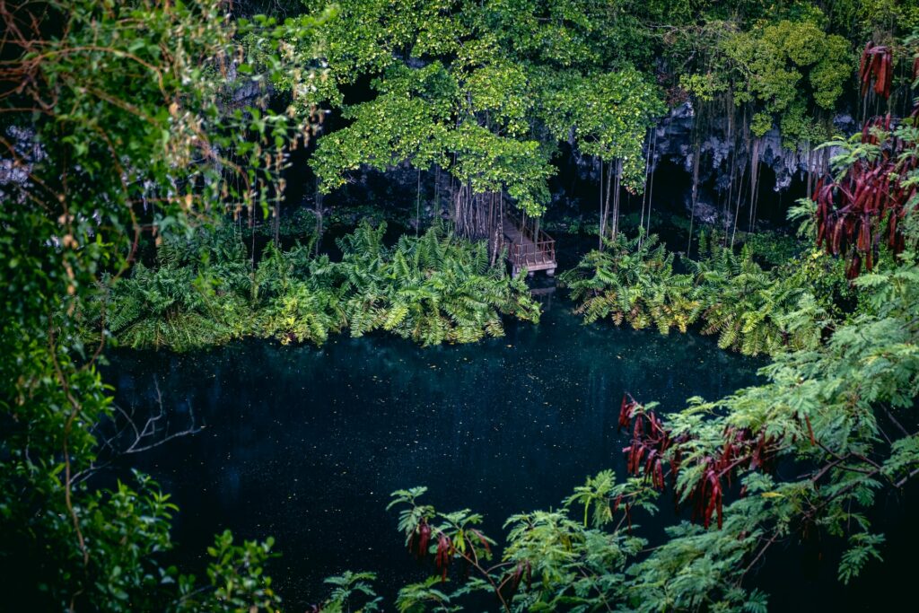 Caverna com um lago e cercada por árvores e vegetação no Parque Los Tres Ojos em Santo Domingo na República Dominicana