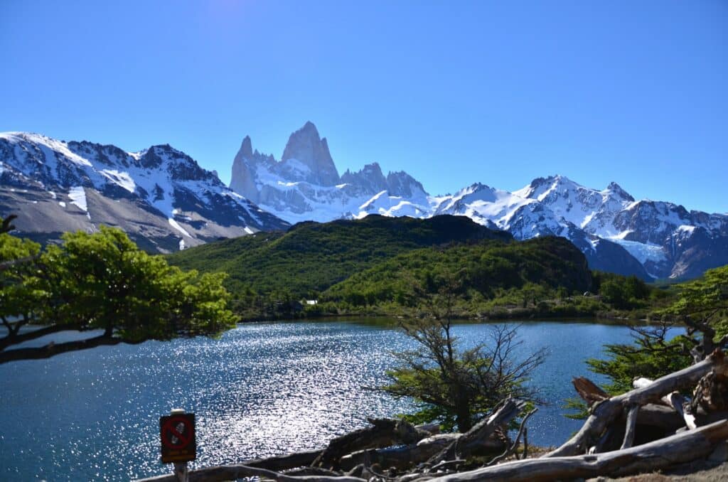 Montanhas nevadas ao fundo com árvores e um lago límpido à frente na região da Província de Santa Cruz na Argentina para representar seguro viagem América do Sul