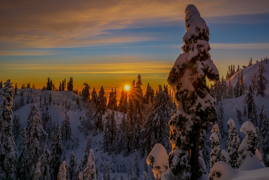 arvores coberto de neve com sol  no horizonte em Mount Seymour,  Vancouver, Canadá. Representa o seguro viagem para Vancouver
