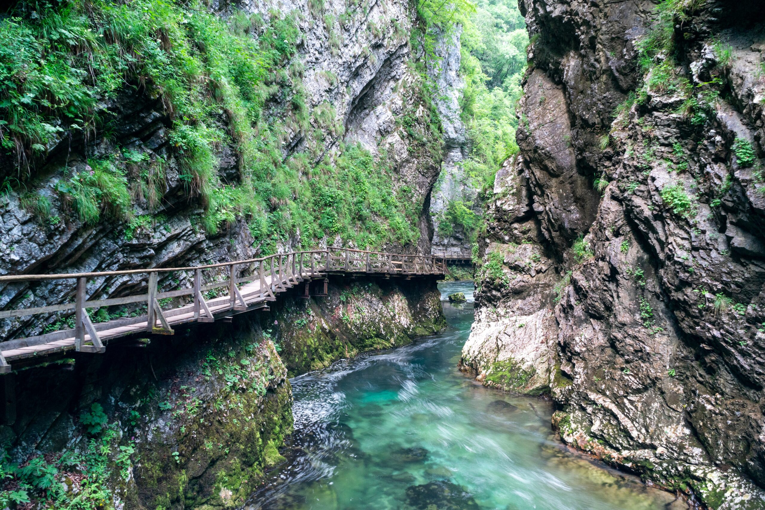 Desfiladeiro de Vintgar em Bled, Eslovênia com uma ponte e um rio com aguas claras. Representa seguro viagem Eslovênia. 