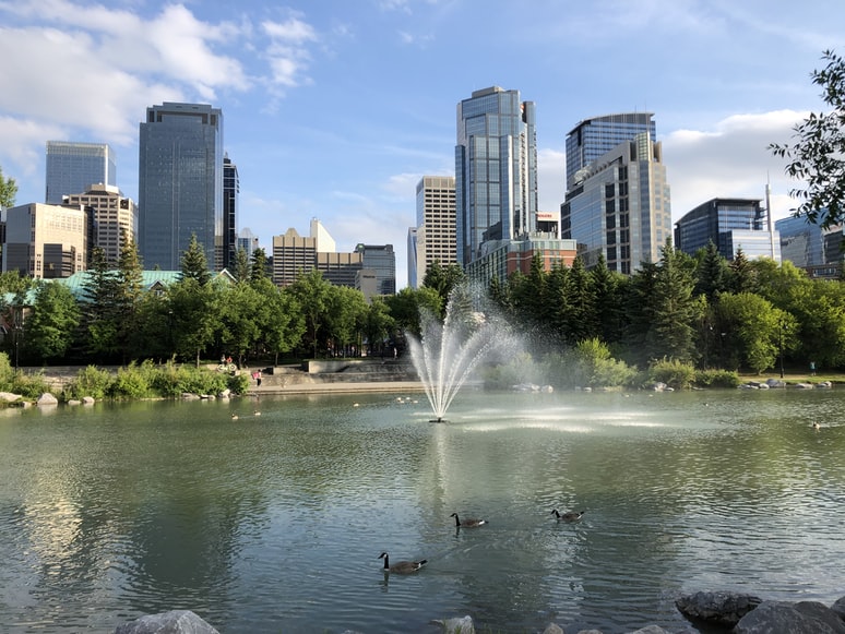 Lago com patos em area verde e Bow River/Downtown Calgary. Representa seguro viagem para Calgary.