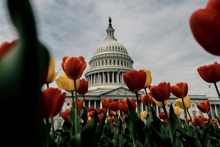 Prédio do capitólio com tulipas em volta.Capitólio, Washington, USA – representa seguro viagem para  Washington.



