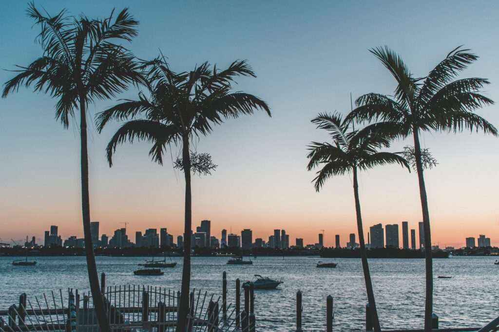 Mar com barcos e lanchas, palmeiras ilustram a paisagem, a cidade ao fundo em um entardecer cor de rosa em Miami para representar o seguro viagem em Miami