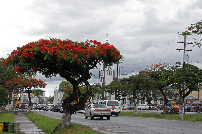 Georgetown, Guiana com carros, casas em volta.