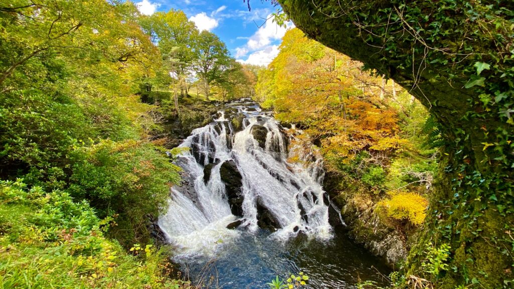 Snowdonia Bational Park no País de Gales com uma queda de água em cascata por entre muitas árvores e vegetação em tons de amarelo