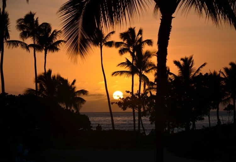 Seguro viagem para o Havaí – Conheça os melhores