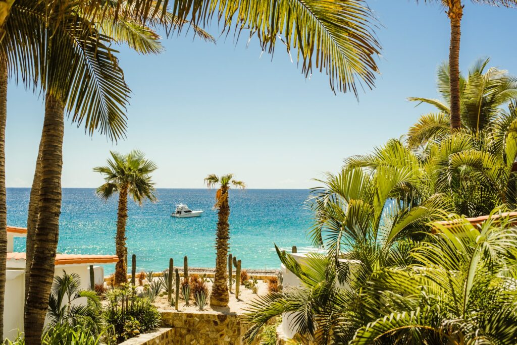Vista de um pequeno mar num mar azul claro visto por entre árvores e palmeiras em uma praia de Los Cabos no México para representar o seguro viagem para Los Cabos