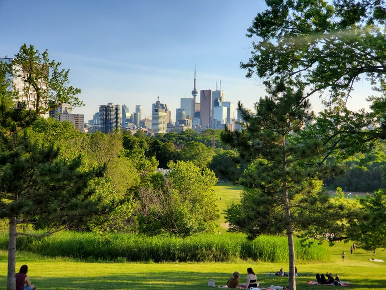 Parque cheio de arvores em Riverdale Park, Toronto, Canadá - representa o seguro viagem Toronto.