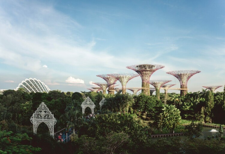 Seguro viagem para Cingapura – Dicas para achar  o plano certo
