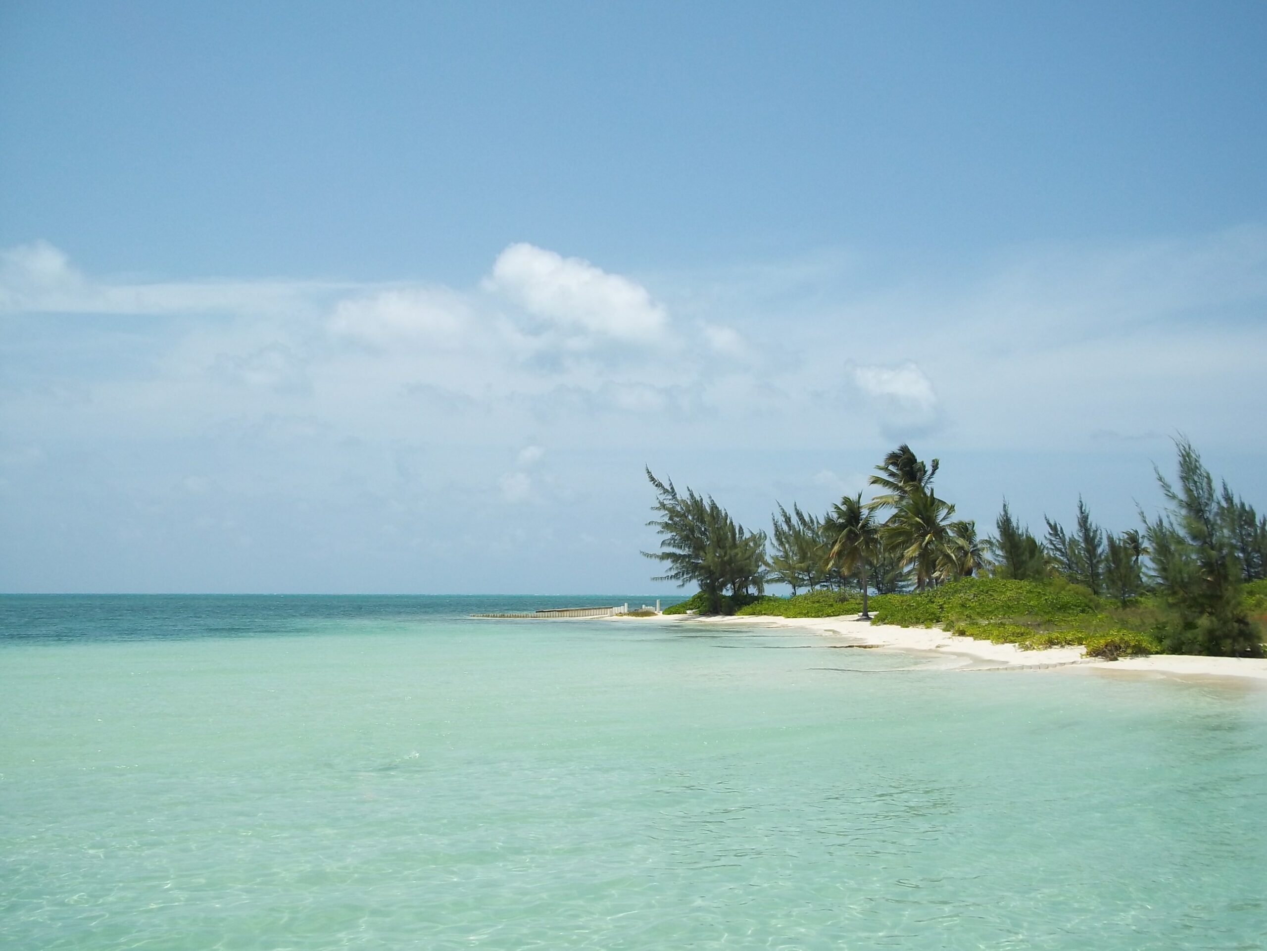 Praia única na ilha de Grand Cayman, no Caribe, com árvores ao vento e mar com água cristalina - Representa seguro viagem para Cayman