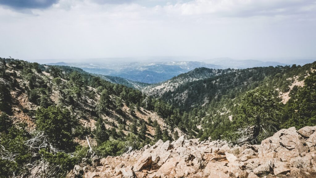 Vista da Montanha Troodos, com árvores em Chipre -Representa seguro viagem Chipre.