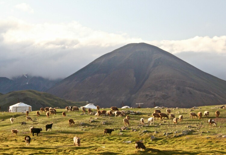 Seguro viagem para Mongólia – Saiba tudo como contratar