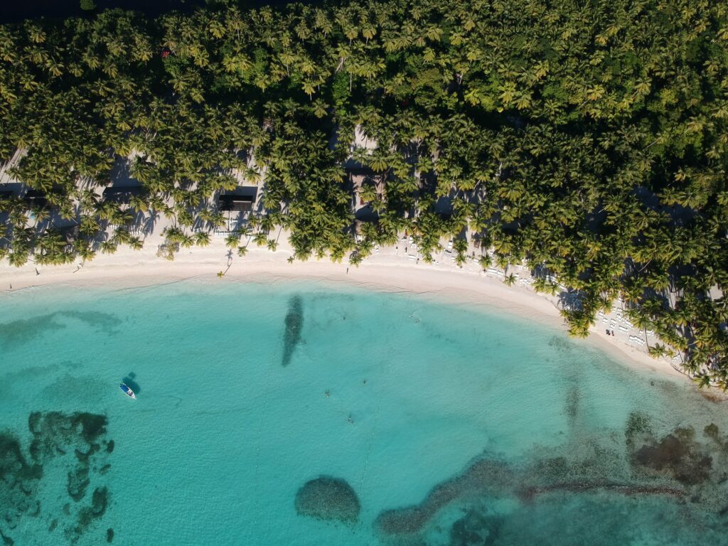 Praia de Punta Cana com águas transparentes, areia branca e, depois da areia, muitas árvores e coqueiros, para representar o seguro viagem para República Dominicana