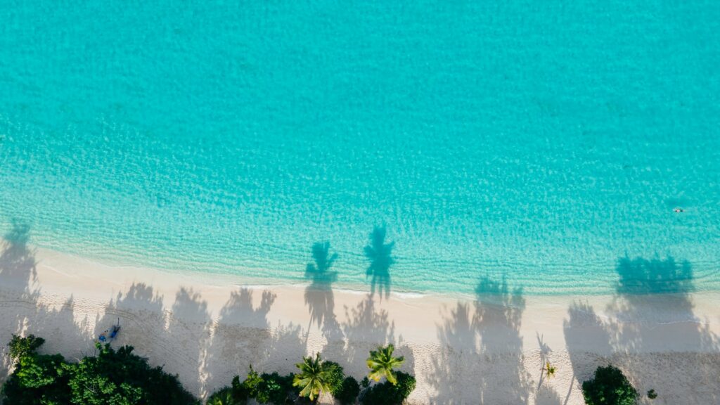 Praia em St. John com areia branca e mar azul claro quase transparente, com o reflexo de coqueiros na areia, para representar o seguro viagem para Ilhas Virgens Americanas