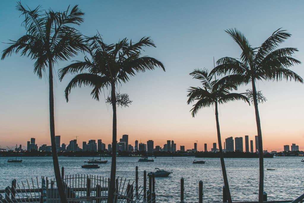vista de Miami Beach, com palmeiras e o mar separando a cidade de prédios ao fundo ao entardecer, que pode ser fotografado no chip internacional para Miami