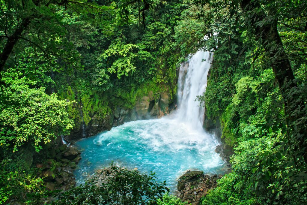 Vista do Rio Celeste no Parque Nacional Vulcão Tenório na Costa Rica com águas em tom azul em volta de vegetação verde.