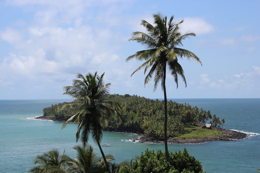 Foto de Ilhas com muitas árvores e várias rochas na beira do mar, que compõe a maior parte da paisagem. Está de dia. Imagem usada para ilustrar post de chip internacional para Guiana Francesa.