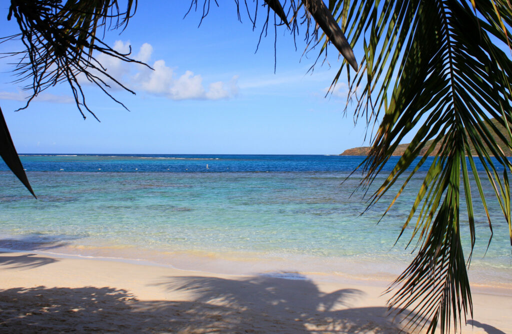 Foto de uma praia, com a maior parte da imagem sendo folhas de palmeiras em frente ao mar. Foto para ilustrar post de chip internacional para as Ilhas Virgens Espanholas.