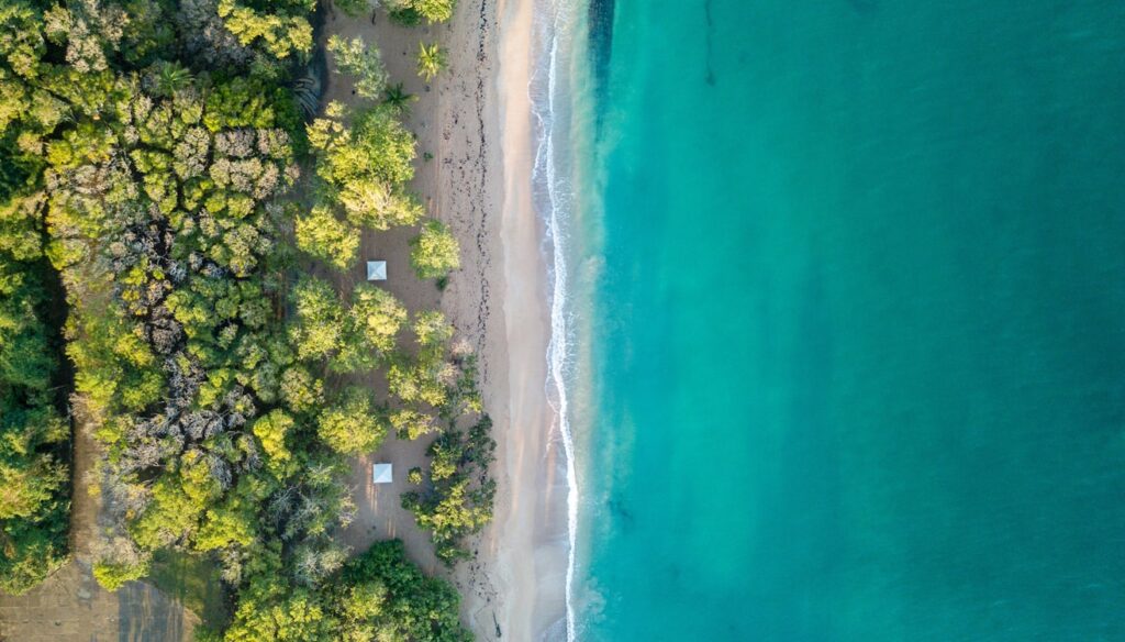 Vista aérea de uma praia com águas azul-turquesa, litoral arenoso e densa floresta verde, com duas pequenas estruturas perto das árvores, em Guadalupe. Representa eSIM Guadalupe.