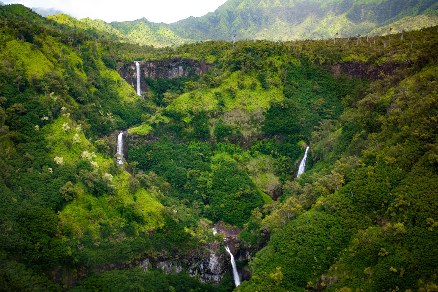 Um vale verdejante em Kauai, com quatro cachoeiras estreitas descendo as colinas, cercado por densas florestas e montanhas. Representa eSIM Havaí.