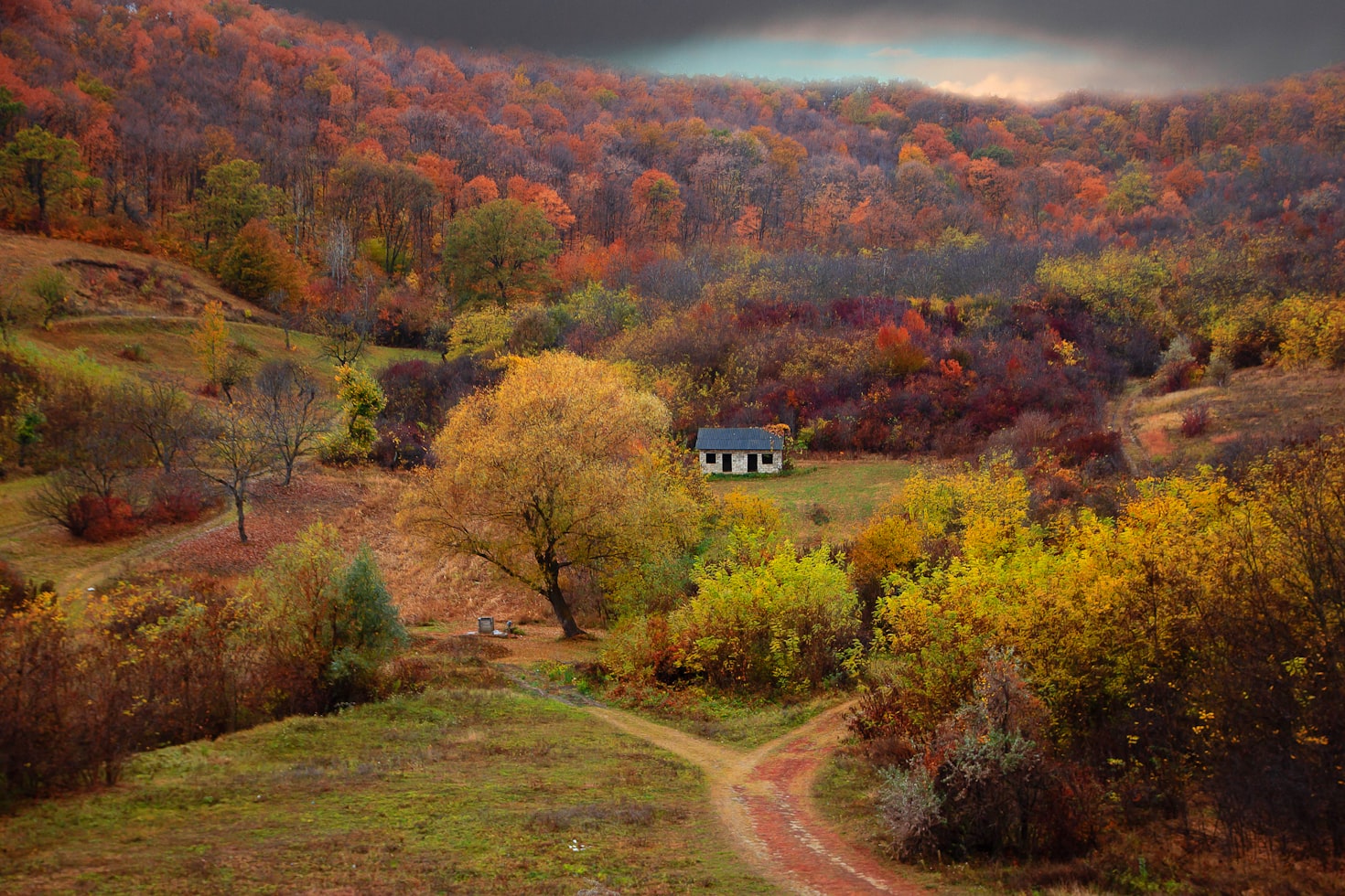 Uma pequena casa fica em meio a uma paisagem colorida de outono, com um céu nublado, cercada por árvores e caminhos sinuosos, na Moldávia. Representa eSIM Moldávia.