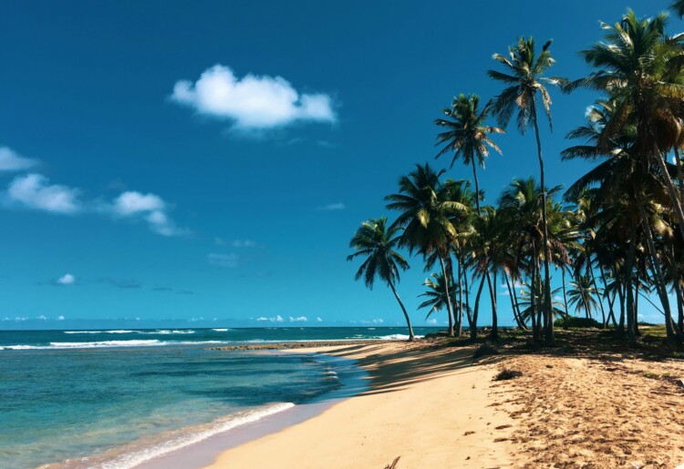 eSIM República Dominicana: Fique online e economize