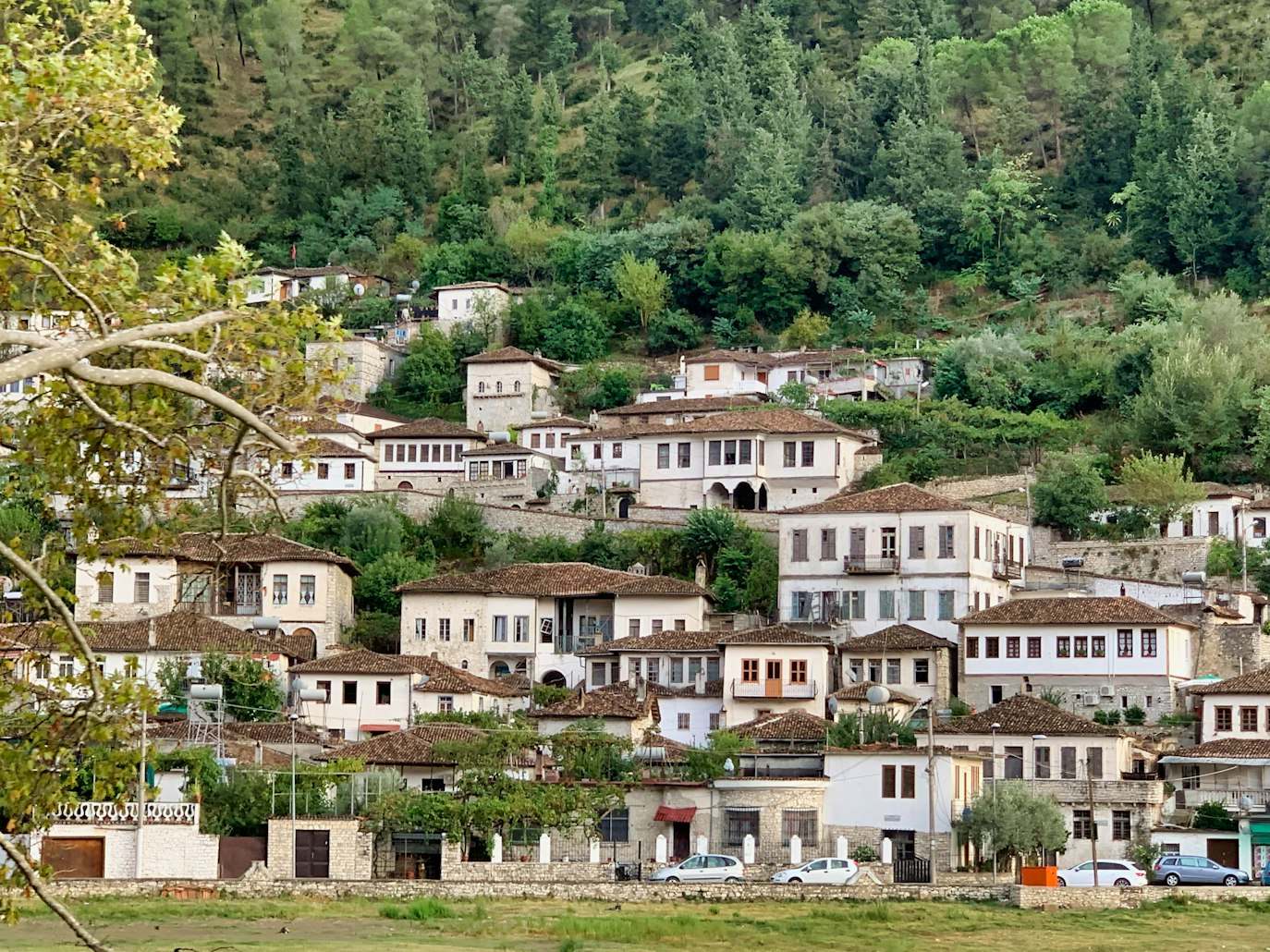 Vilarejo em Berat na encosta com casas brancas e telhados marrons, cercado por vegetação e árvores. Representa eSIM Albânia.