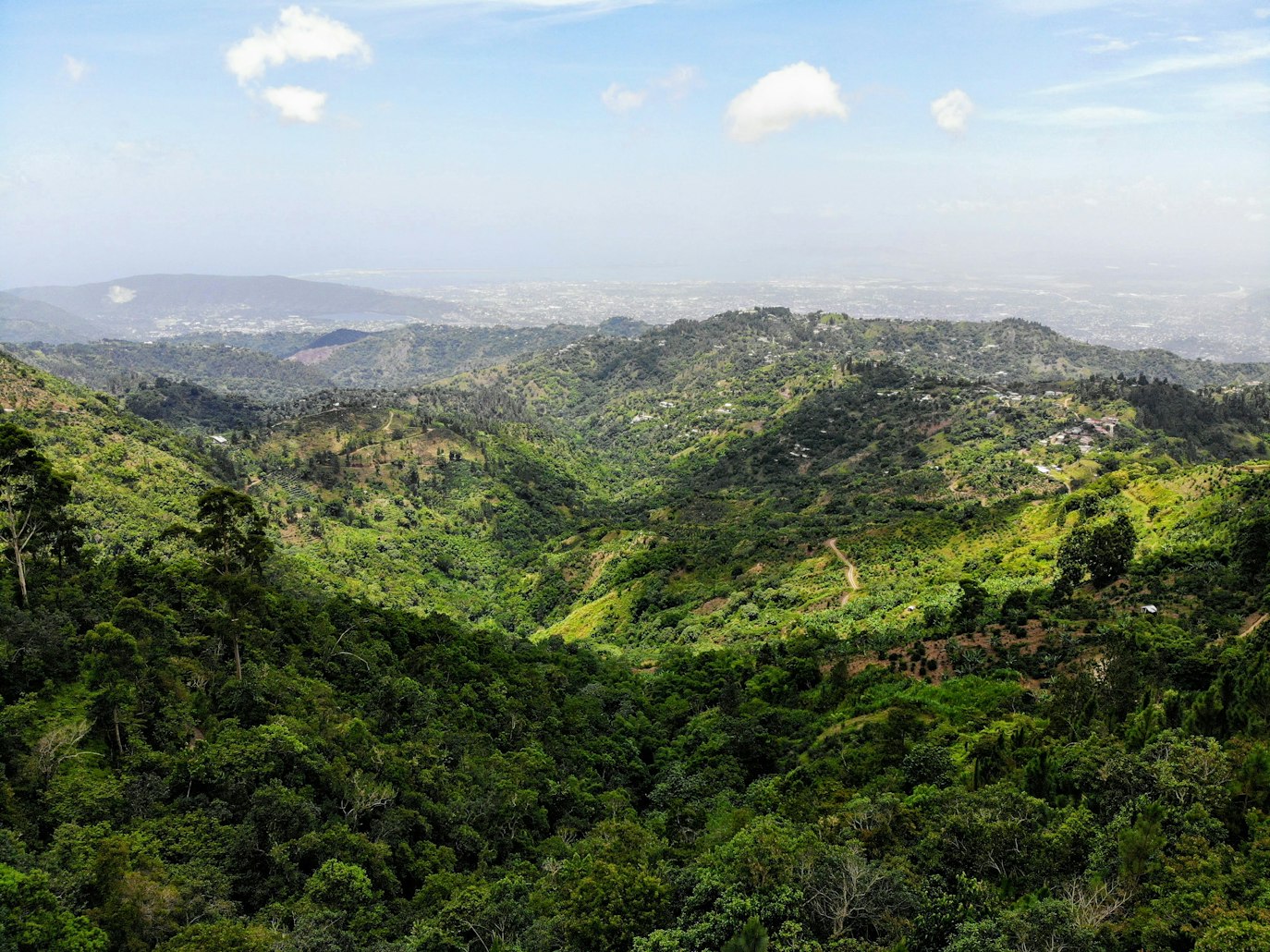 Uma ampla vista de montanhas verdes e arborizadas sob um céu parcialmente nublado, com uma paisagem urbana distante visível no horizonte, na Jamaica. Representa eSIM Jamaica.