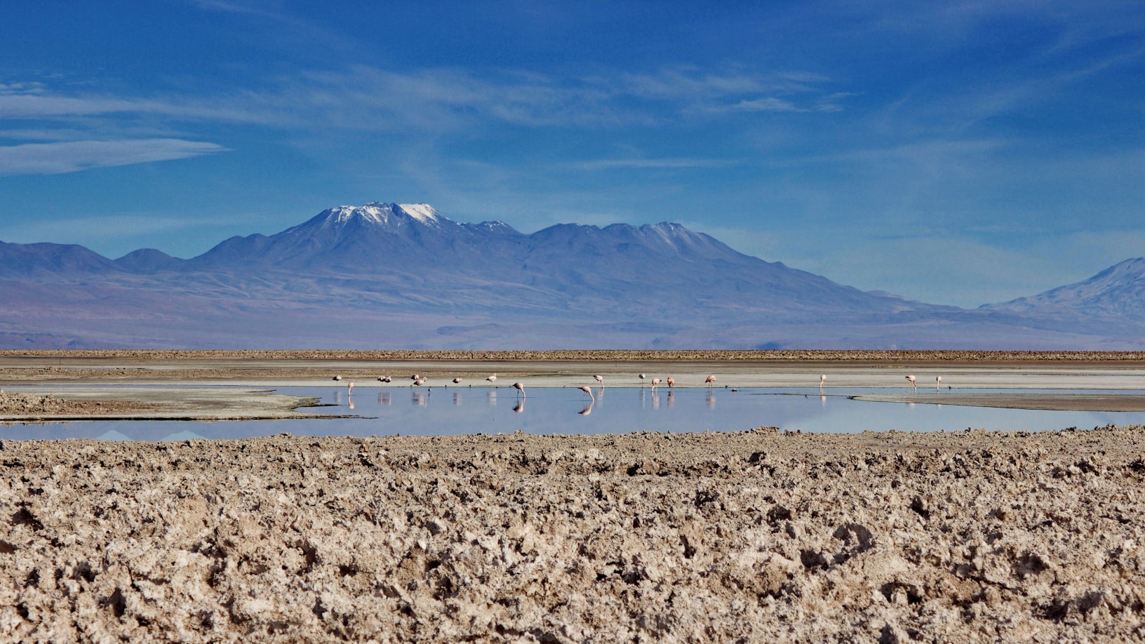 Primeiro plano rochoso com um lago refletivo e flamingos espalhados. Montanhas distantes com picos cobertos de neve sob um céu azul, no Atacama. Representa eSIM Atacama.